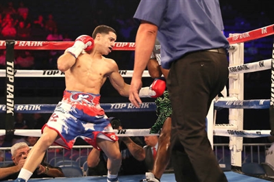 Regis Prograis poster