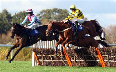 Julian Williams poster