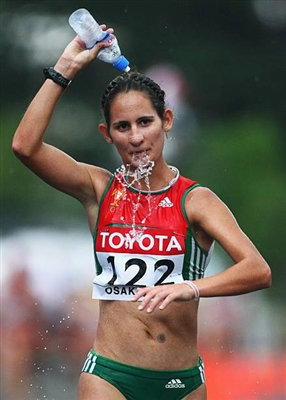 Ines Henriques poster