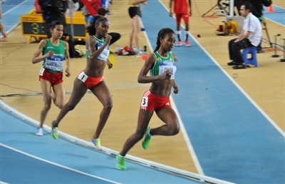 Genzebe Dibaba poster