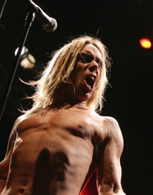 Iggy Pop poster