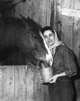 Elizabeth Taylor poster