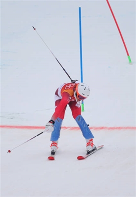 Michelle Gisin poster