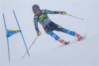 Frida Hansdotter poster