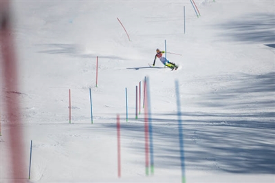 Emelie Wikstroem poster