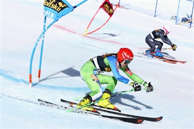 Emelie Wikstroem poster