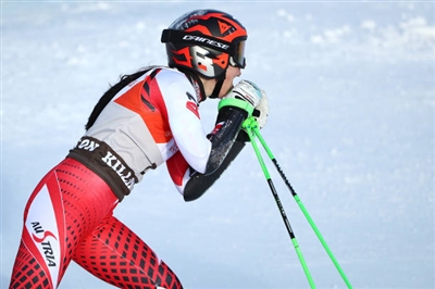 Stephanie Brunner poster