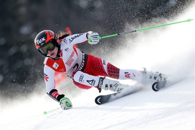 Stephanie Brunner poster