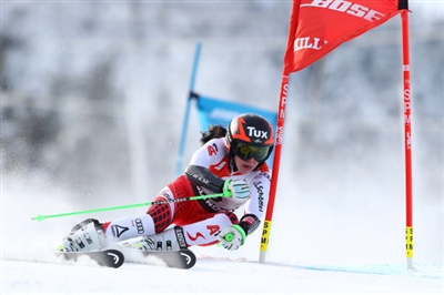 Stephanie Brunner poster