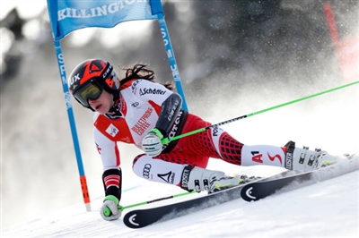 Stephanie Brunner poster