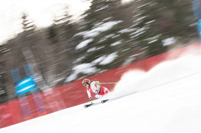 Stephanie Brunner poster