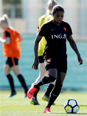 Lineth Beerensteyn poster