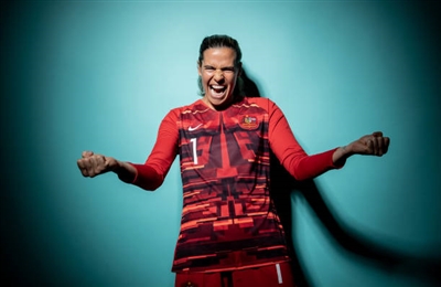 Lydia Williams poster