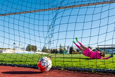 Lydia Williams poster