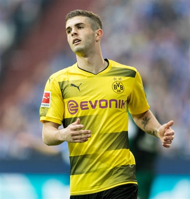 Christian Pulisic poster