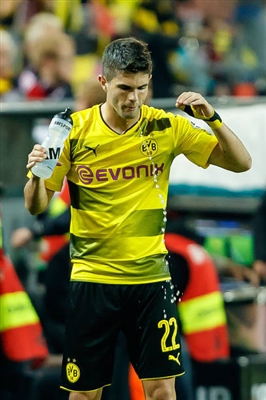 Christian Pulisic poster