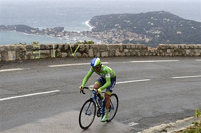 Michael Matthews poster