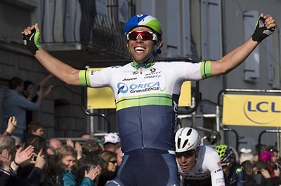 Michael Matthews poster