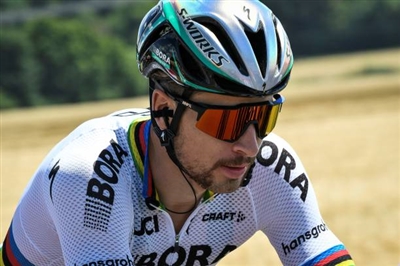 Peter Sagan poster