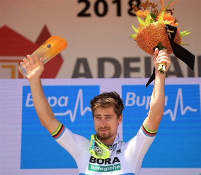 Peter Sagan poster