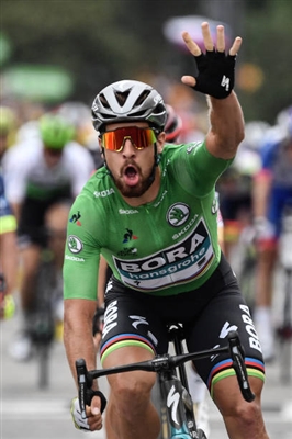 Peter Sagan poster