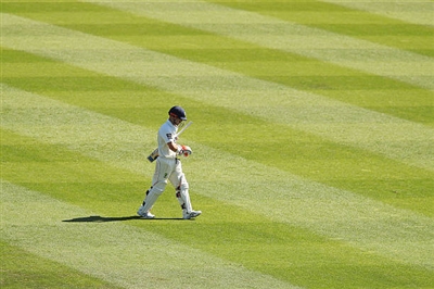 David Warner sweatshirt