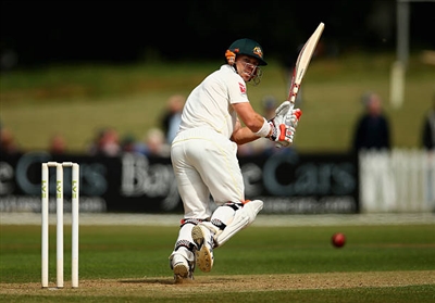 David Warner sweatshirt