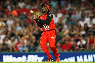 Chris Gayle poster