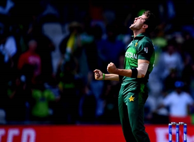 Hashmatullah Shahidi poster