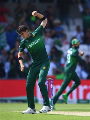 Hashmatullah Shahidi poster