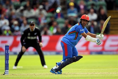 Hashmatullah Shahidi poster