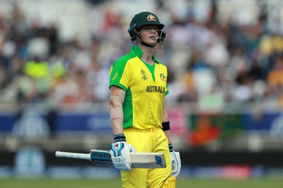 Sheldon Cottrell sweatshirt