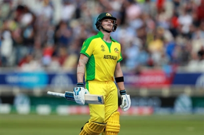 Sheldon Cottrell sweatshirt