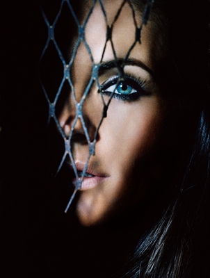 Elizabeth Hurley poster