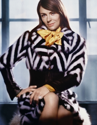 Elizabeth Hurley poster