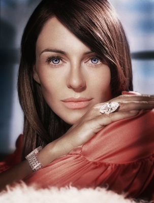 Elizabeth Hurley poster