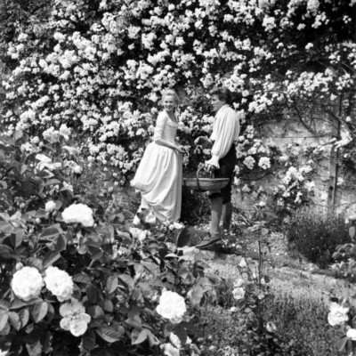 Albert Finney poster