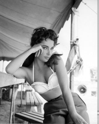 Elizabeth Taylor poster