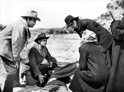 Robert Taylor poster