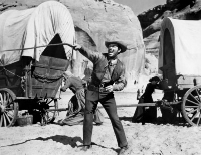 Robert Taylor poster