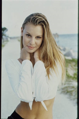 Niki Taylor poster