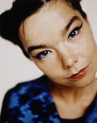 Bjork poster