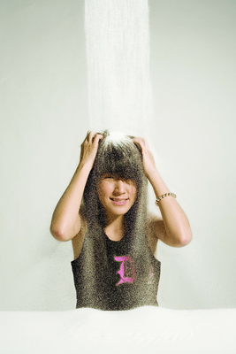 Celebrity Dumping poster