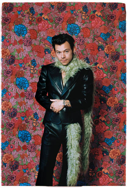 Harry Styles poster