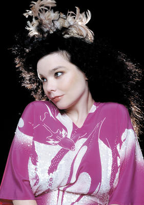 Bjork poster