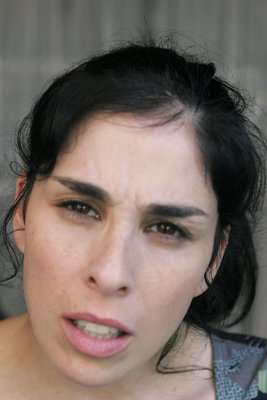 Sarah Silverman poster