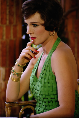 Julie Andrews poster