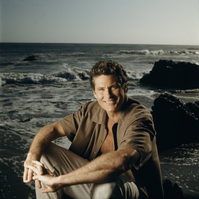 David Hasselhoff poster