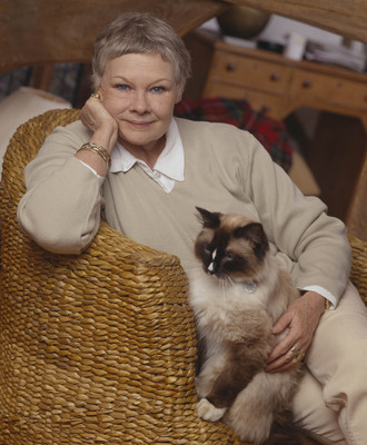 Judi Dench poster