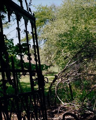 Heather Marks poster